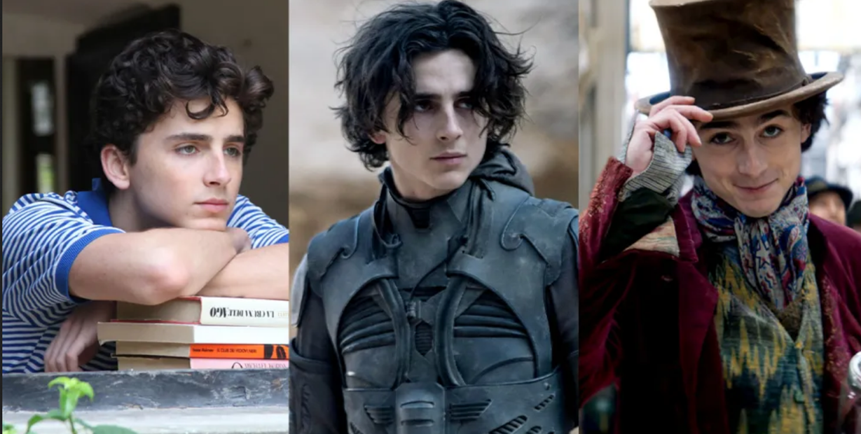 D. Timothée Chalamet: The Indie Darling Turned Blockbuster King