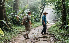 Save the Rainforest