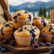 Blueberry Muffins j
